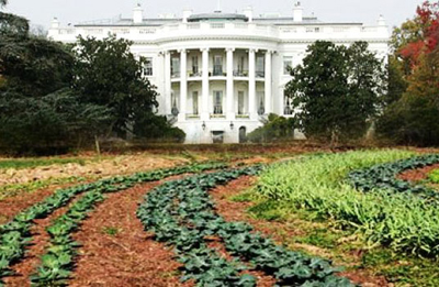 Maison Blanche, ferme organique