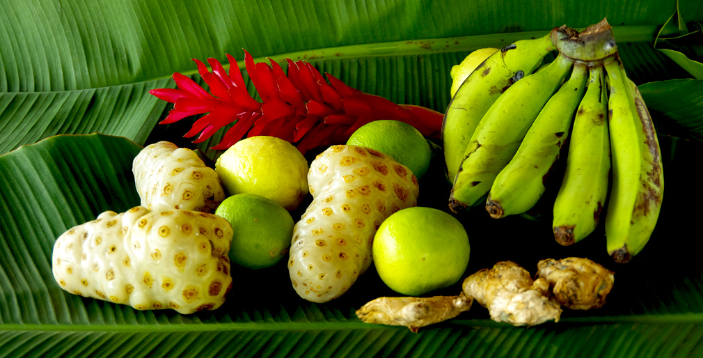 Costa Rica, jus de noni avec bananes, citrons, gingembre - Phase 1