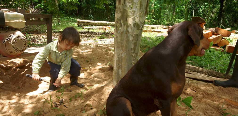 Costa Rica - Enfants et chiens jouent dans la sciure de bois