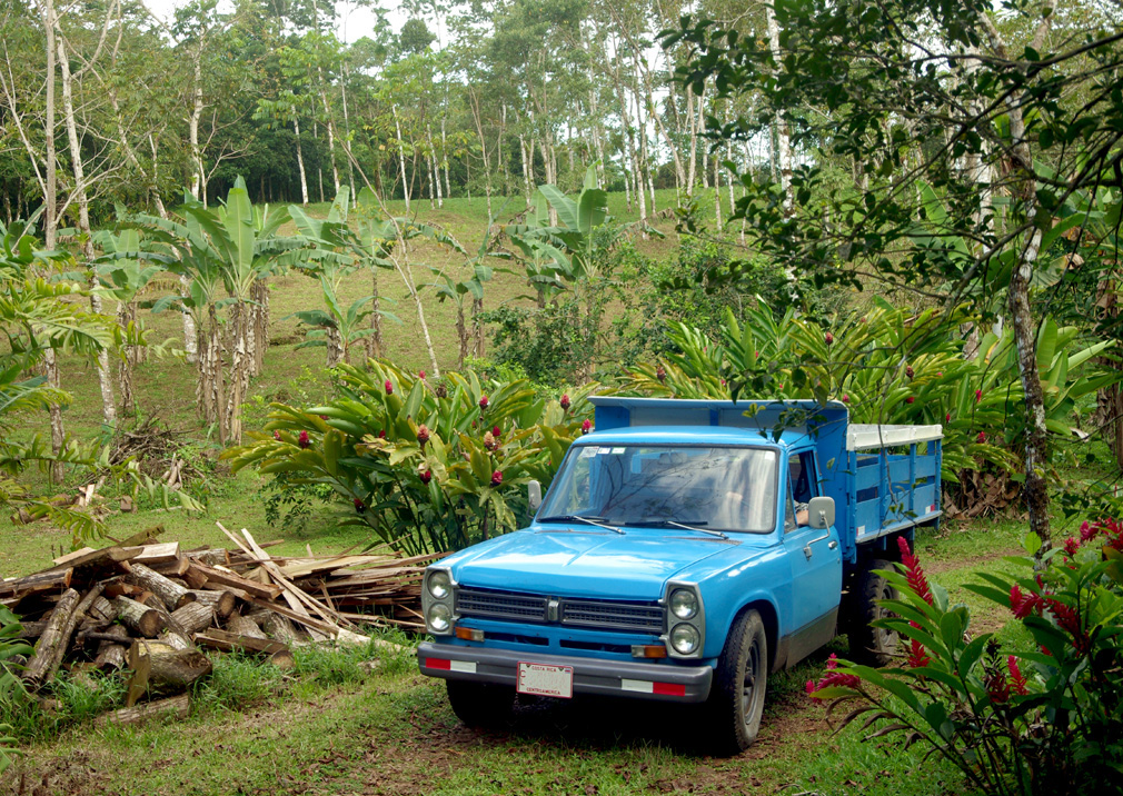 Costa Rica, Nissan Miller 1973