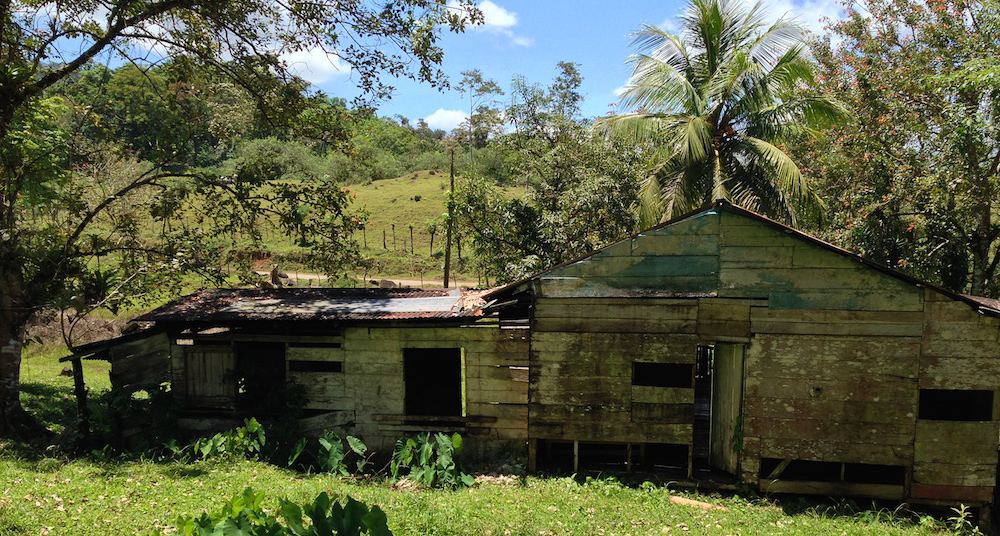Costa Rica - Vieille maison bois en ruine - 2