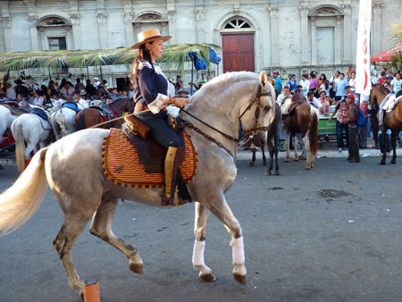Fiesta Hippica de Granada 2012 - Photo 9