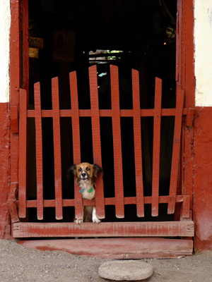 Nicaragua, Granada - Porte 12