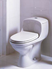 Plus de renseignements en immobilier, c'est photo des toilettes !