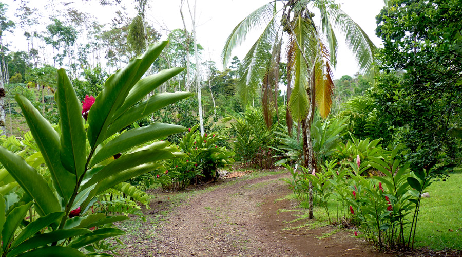 L'entre de l'colodge, Bijagua, prs du Parc National Tenorio