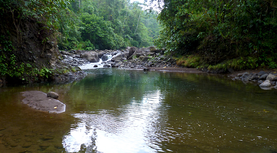 Piscine naturelle, partie sauvage de l'colodge, Bijagua, Costa Rica