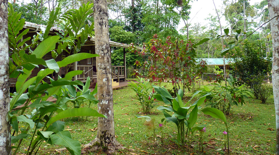 Le jardin clos, scuris pour enfants, lodge, Costa Rica, Rio Celeste