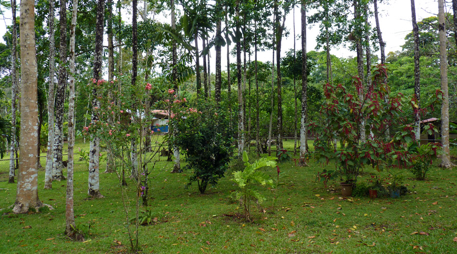 Le jardin clos, scuris pour enfants, lodge, Costa Rica, Rio Celeste, autre vue