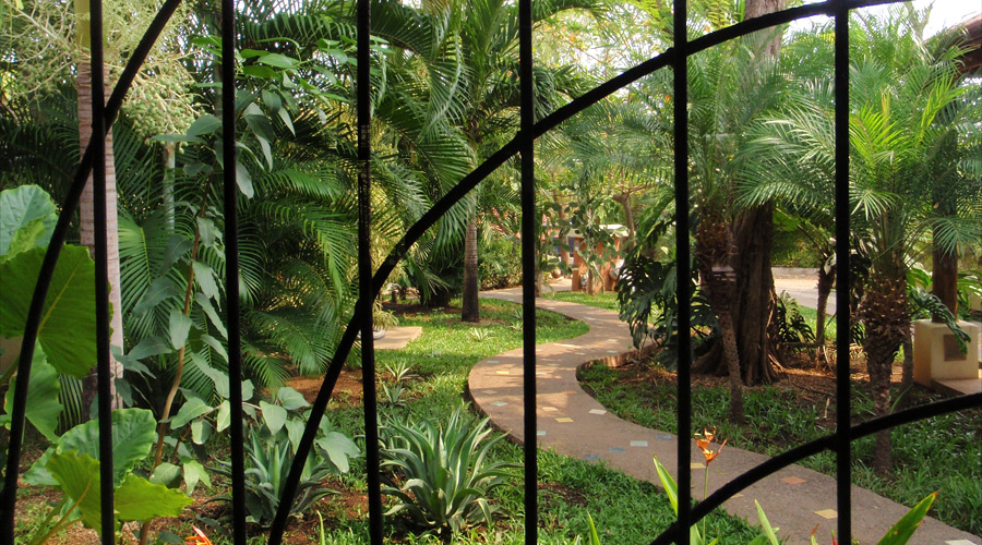 Le jardin tropical vu de l'entre de la Casita Langosta, Playa Tamarindo, Costa Rica
