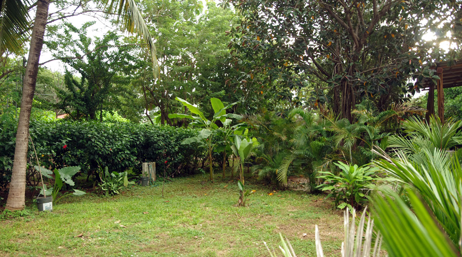  Maison 3 chambres et laboratoire de boulangerie-ptisserie, proche Tamarindo, vue partielle du jardin