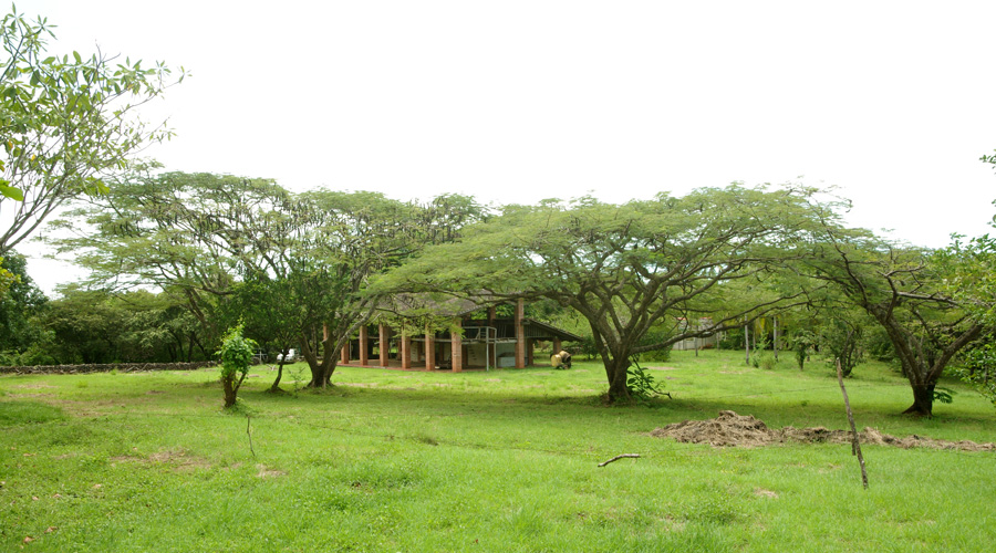 6 terrains, 5 maisons, 1 atelier, possibilit structure htelire, Playa Negra, Guanacaste - Costa Rica - Vue 5