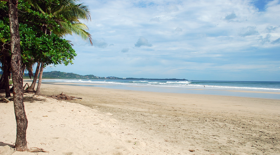 La magnifique plage de Playa Grande. Juste en face, Tamarindo, accessible  pied par la plage