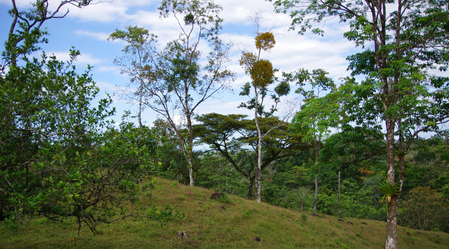 Autre vue de la finca, Bijagua, Province d'Alajuela, Costa Rica - Vue 5