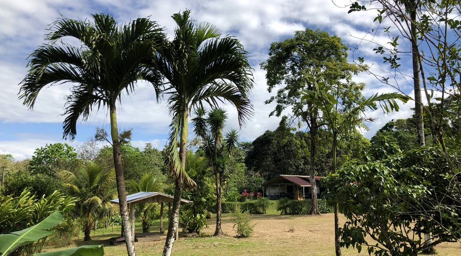 Costa Rica - Bijagua - Finca La Cabaa - Vue jardin depuis La Cabaa