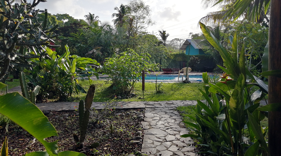 Costa Rica - Carabes - Auberge de jeunesse - Le jardin et la piscine