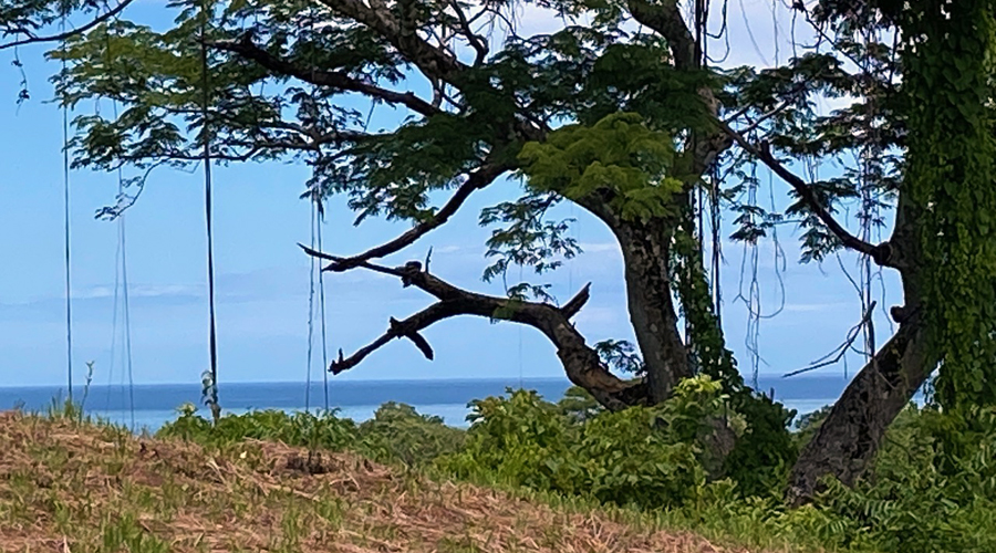 Costa Rica - Guanacaste - Ostional - Splendide proprit  dvelopper - Vue 18