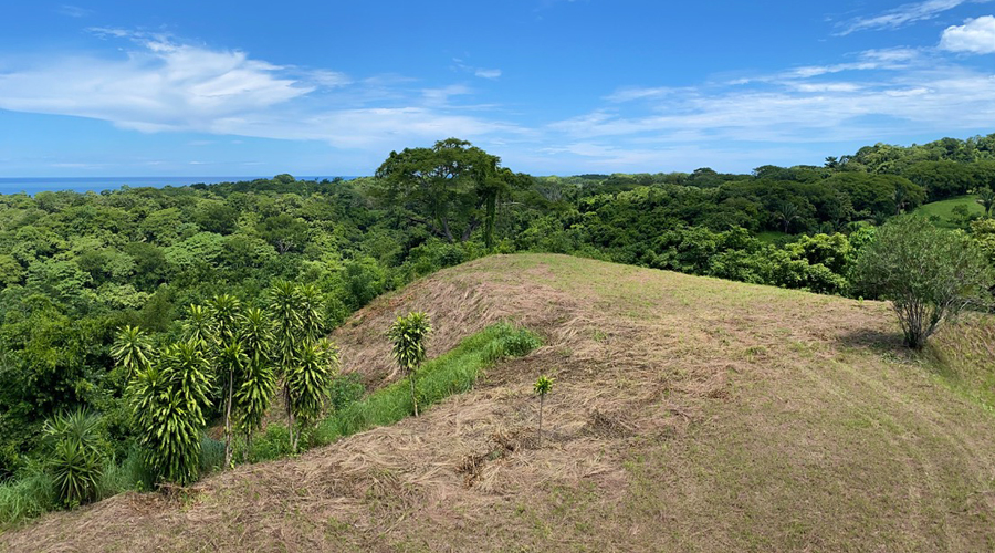 Costa Rica - Guanacaste - Ostional - Splendide proprit  dvelopper - Vue 20