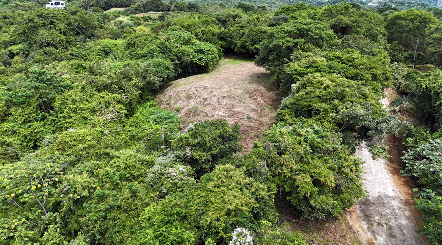Costa Rica - Guanacaste - Ostional - Splendide proprit  dvelopper - Vue 5