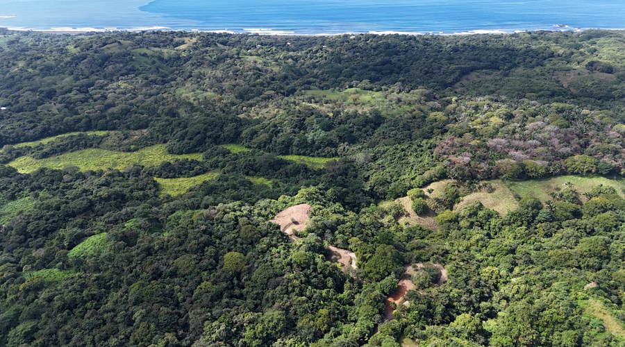 Costa Rica - Guanacaste - Ostional - Splendide proprit  dvelopper - Vue 7