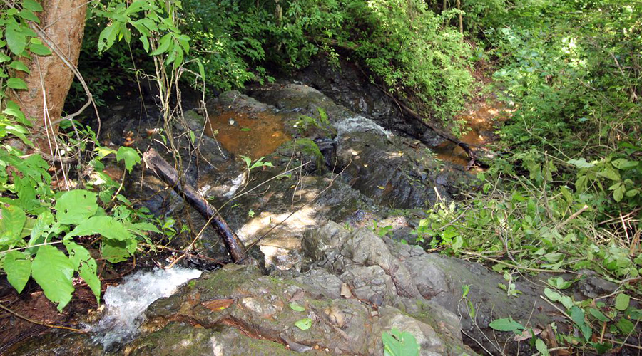Costa Rica - Guanacaste - Samara - Santo Domingo - Terrain de 10.000m  - Vue Mer - Le ruisseau en contrebas de la proprit