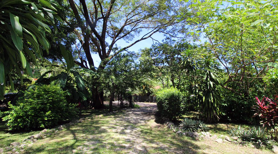 Costa Rica - Guanacaste - Samara - Villa Patio U - Le jardin - Vue 1