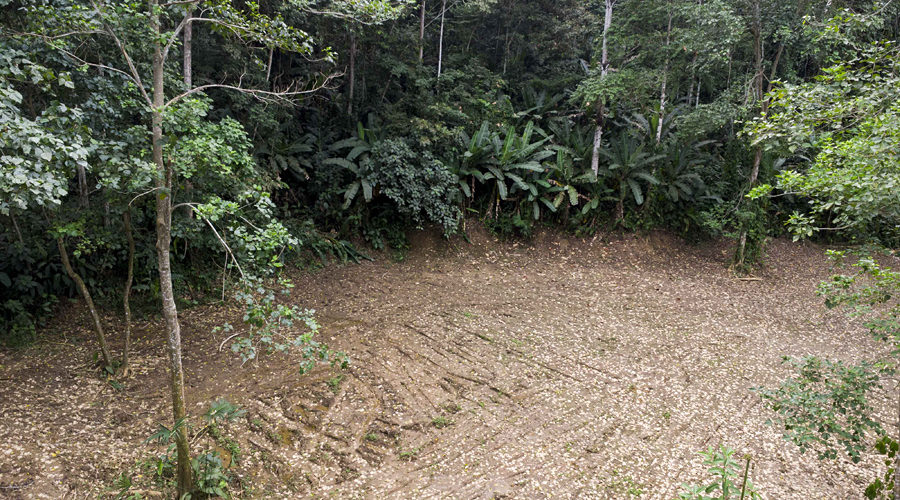 Costa Rica, Province de Limon, Cahuita, Terrain Selva de Lilan - Vue drone 2
