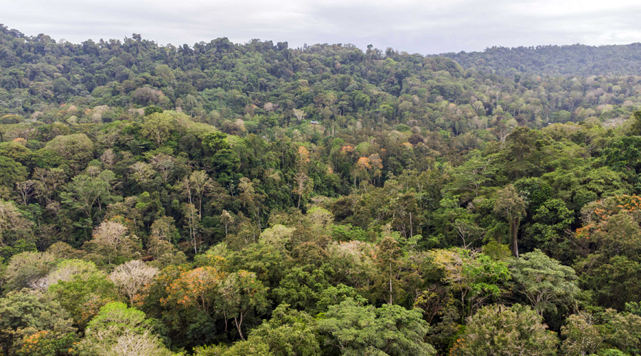 Costa Rica, Province de Limon, Cahuita, Terrain Selva de Lilan - Vue drone - Ouest