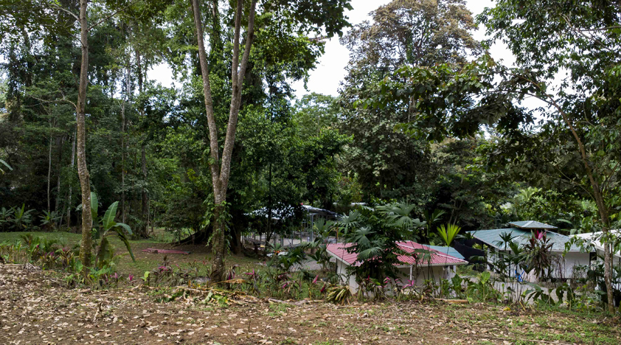 Costa Rica, Province de Limon, Cahuita, Terrain Selva de Lilan - Voisinage en contrebas