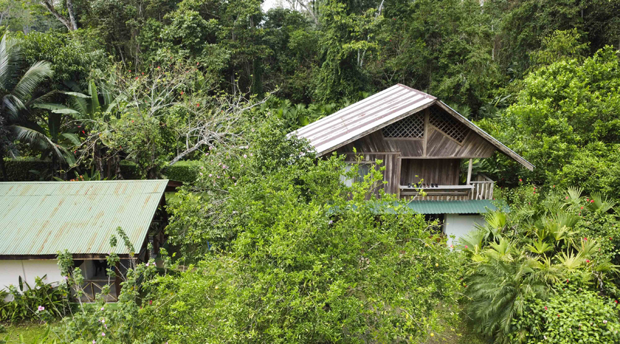 Costa Rica, Province de Limon, Cahuita, Villas Limon Dulce - Maison B