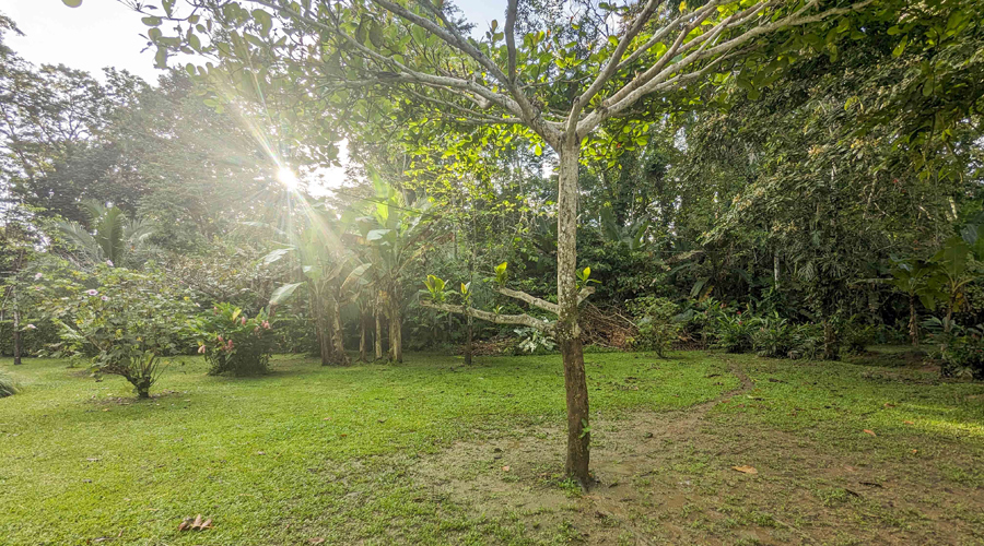 Costa Rica, Province de Limon, Cahuita, Villas Limon Dulce - Jardin et entre