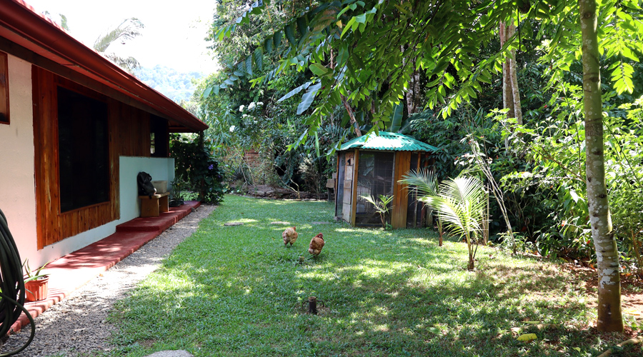 Costa Rica, Province de Puntarenas, Platanillo 1 + 1 - Maison + cabina + piscine, Poulailler