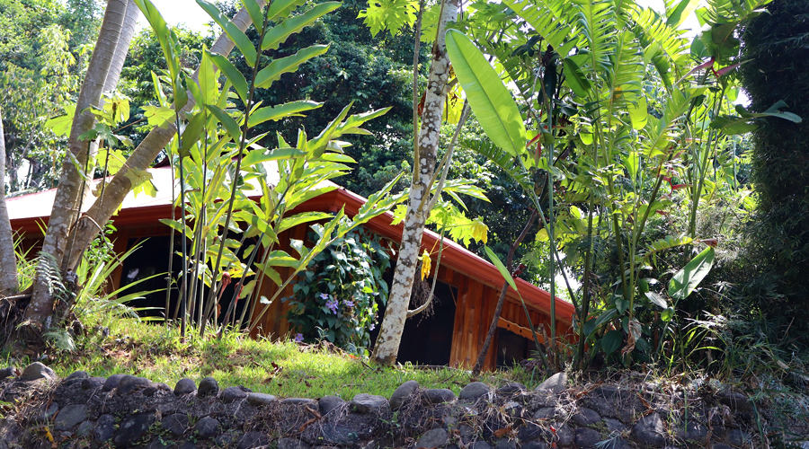 Costa Rica, Province de Puntarenas, Platanillo 1 + 1 - Maison + cabina + piscine, Jardin