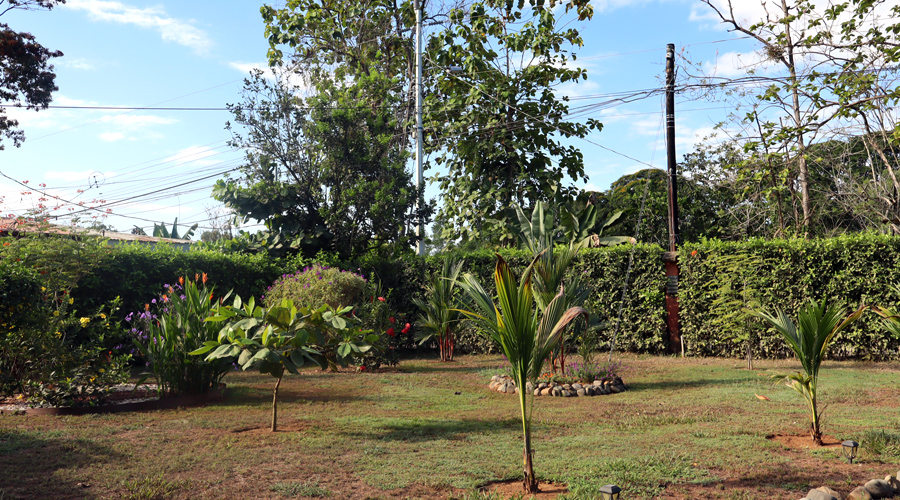 Costa Rica, Province de Puntarenas, Quepos, Casa Naranjico, Jardin 3