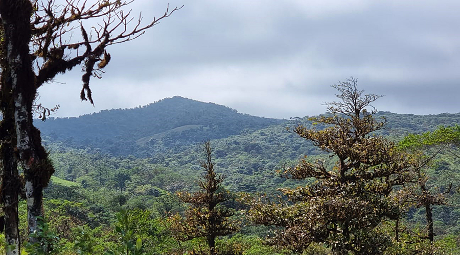 Finca OFF-GRID prs de San Ramon au Costa Rica, 360 hectares de nature !! - Vue 2