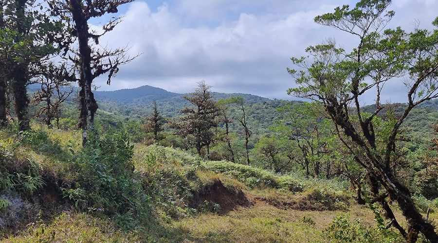Finca OFF-GRID prs de San Ramon au Costa Rica, 360 hectares de nature !! - Vue 3