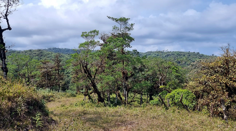 Finca OFF-GRID prs de San Ramon au Costa Rica, 360 hectares de nature !! - Vue 5