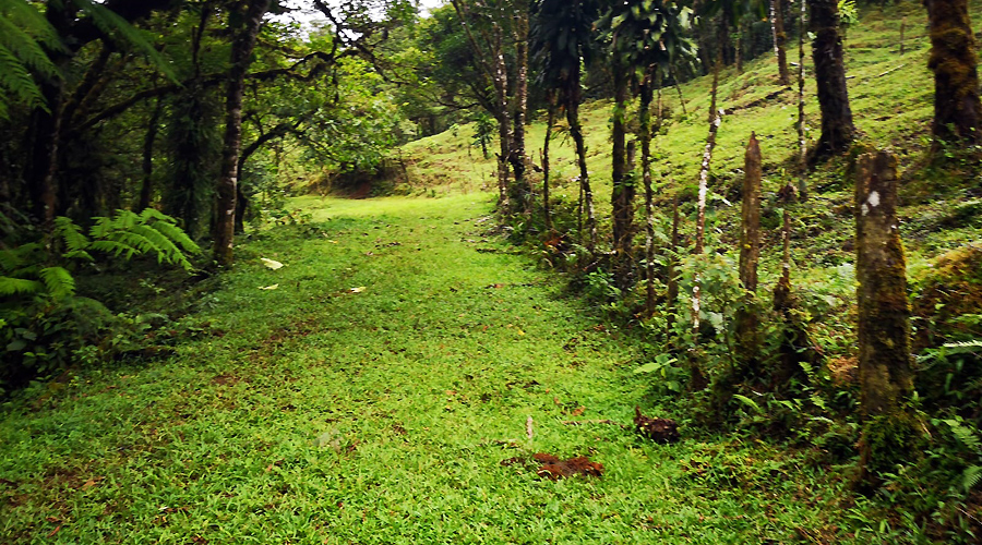 Finca OFF-GRID prs de San Ramon au Costa Rica, 360 hectares de nature !! - Vue 6