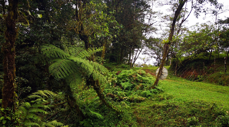 Finca OFF-GRID prs de San Ramon au Costa Rica, 360 hectares de nature !! - Vue 8