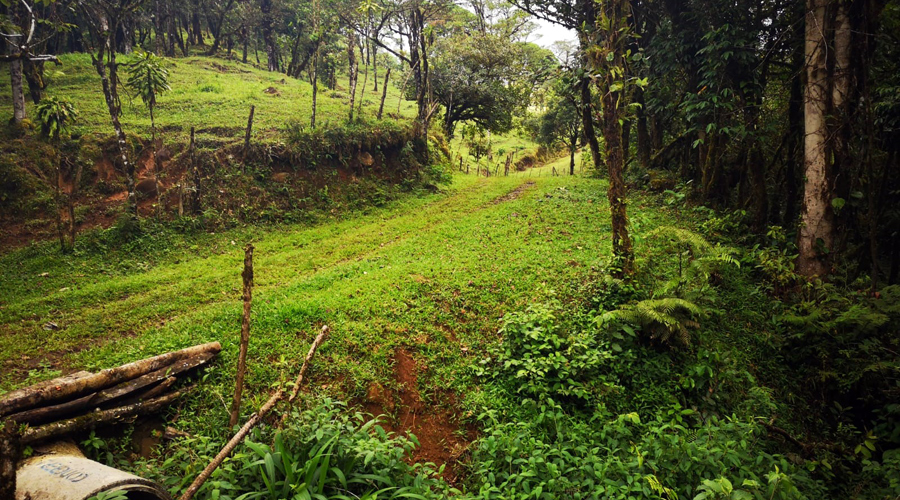 Finca OFF-GRID prs de San Ramon au Costa Rica, 360 hectares de nature !! - Vue 9