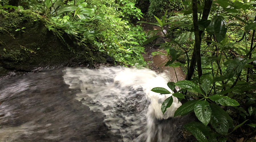 Finca de 22 hectares prs de Bijagua, nord du Costa Rica - Vue du haut de la cascade, la zone de bain c'est 25 mtres plus bas !