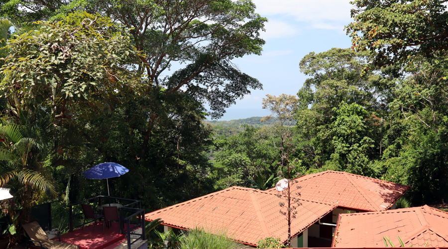 Costa Rica, Province Puntarenas, entre Quepos et Dominical, Hotel-Restaurant + 5 lodges Appartement 1er tage - Vue terrasse 2