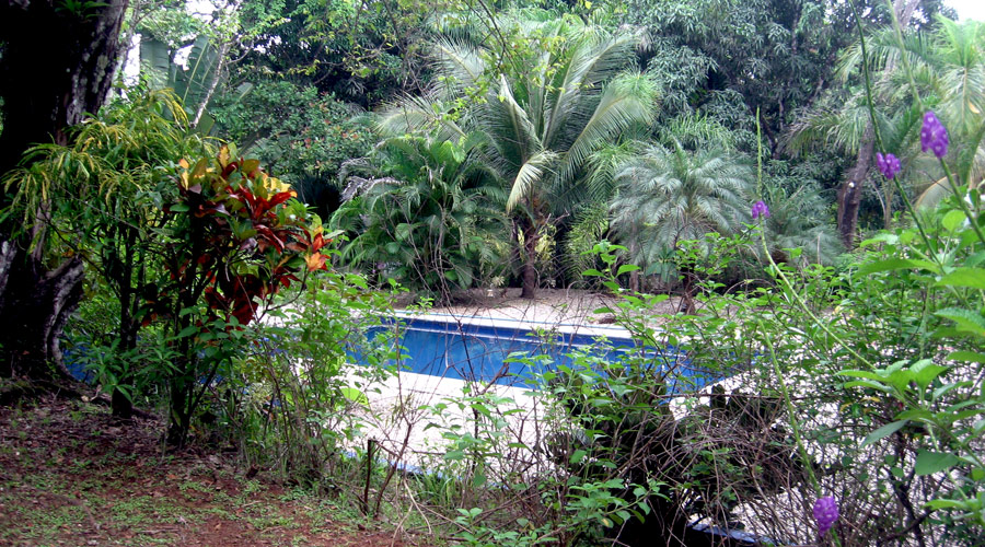 La piscine 5 x 10 mètres, hôtel à restaurer, Montezuma, Costa Rica