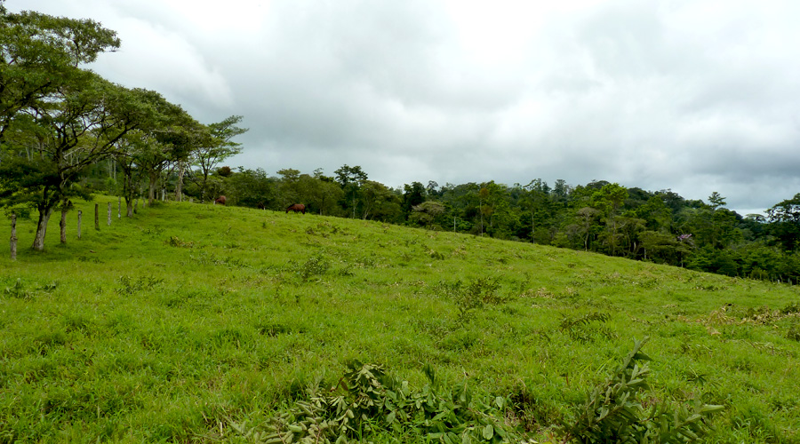 2 terrains  vendre, situs entre les volcans Miravalles et Tenorio, province d'Alajuela, Costa Rica - Vue 4