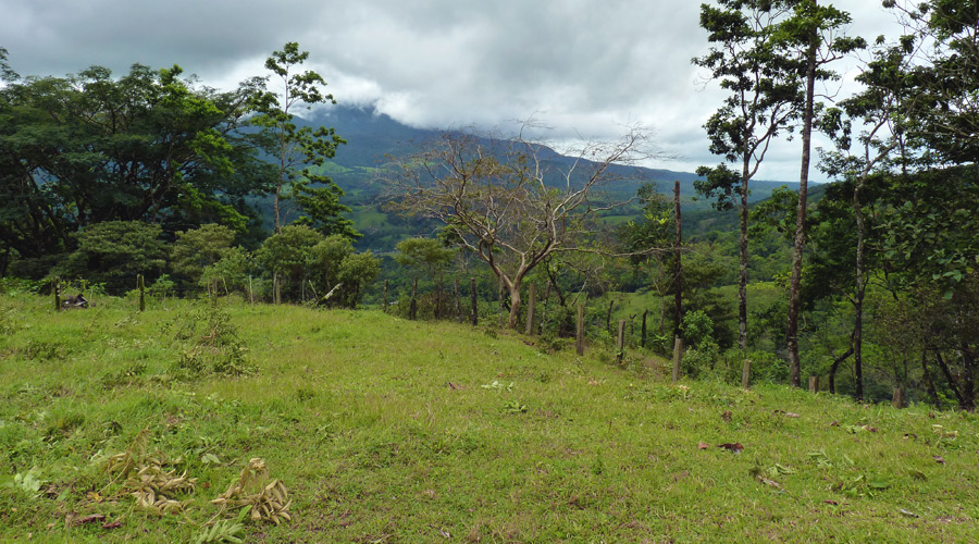 2 terrains  vendre, situs entre les volcans Miravalles et Tenorio, province d'Alajuela, Costa Rica - Vue 5