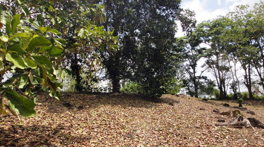 2 terrains prs de La Fortuna de San Carlos, Ciudad Quesada, San Ramn, Alajuela - Vue 2