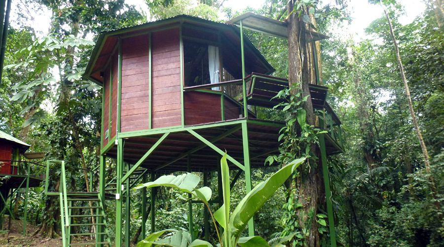 Cabanes dans les arbres, Costa Rica, vue 1
