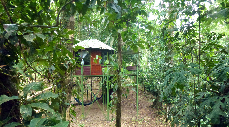 Cabanes dans les arbres, Costa Rica, vue 2