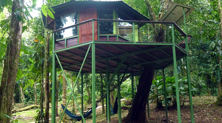 Cabanes dans les arbres, Costa Rica, vue 3