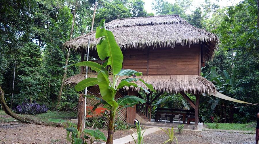 Cabanes dans les arbres, Costa Rica, maison principale à usage des propriétaires ou à louer