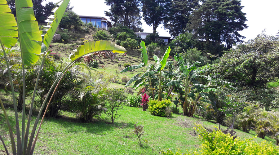 Costa Rica - Alajuela - Volcan Poas - Le jardin et en haut du terrain les habitations - Vue 1